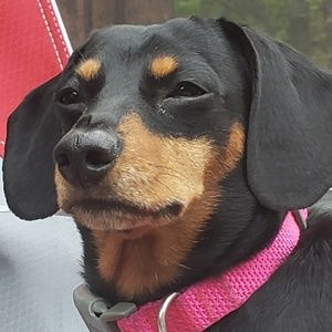 Meet your Posher, Britt